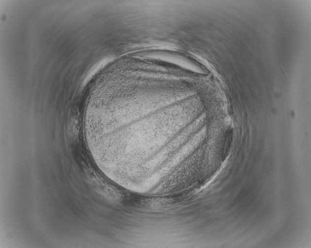 X0000075381163200609291544