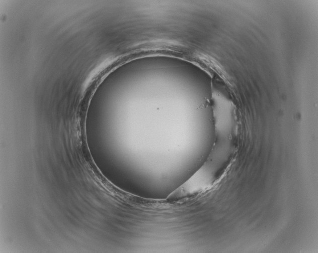 X0000075381164200609291544