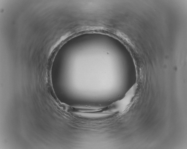 X0000075381165200609291543