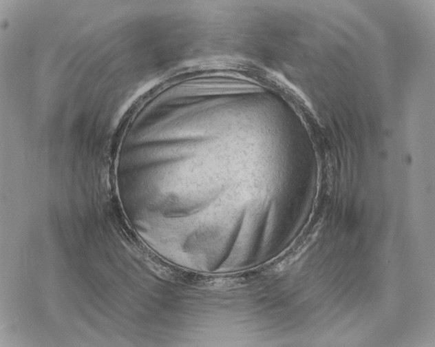 X0000075381166200609291543