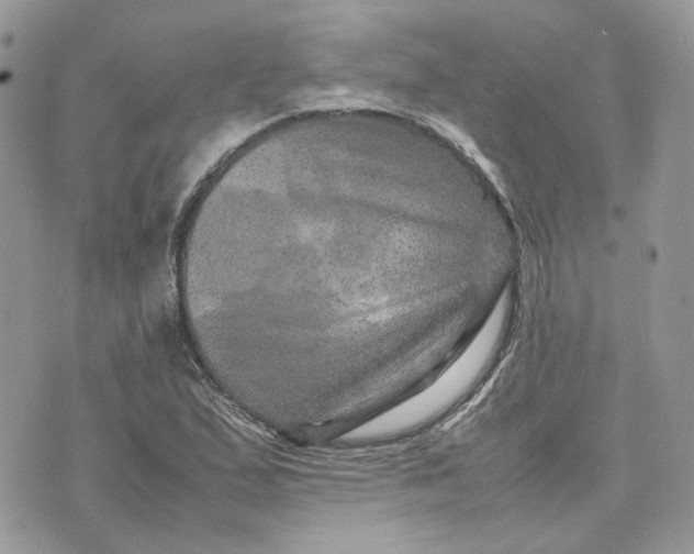 X0000075381167200609291543