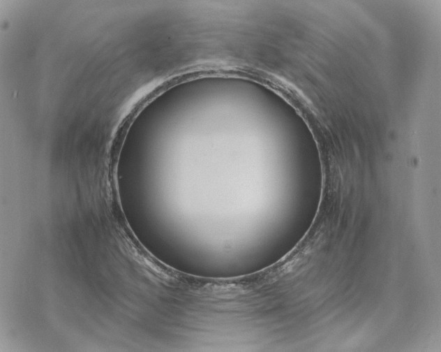 X0000075381168200609291543