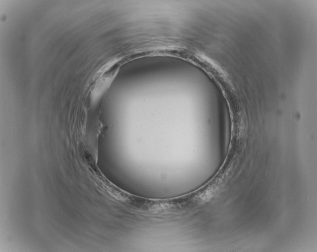 X0000075381169200609291543