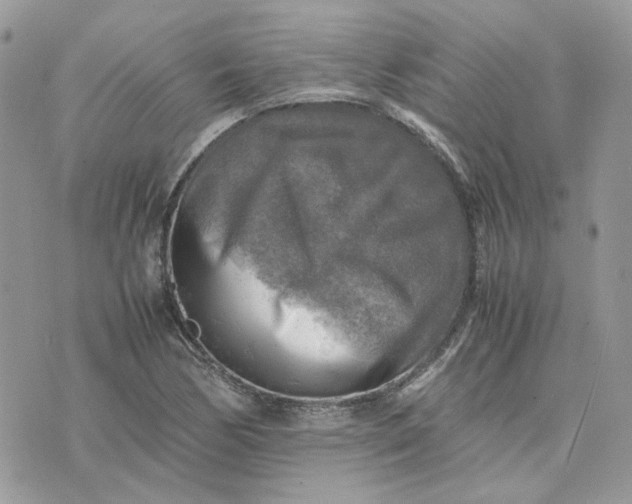 X0000075381170200609291543