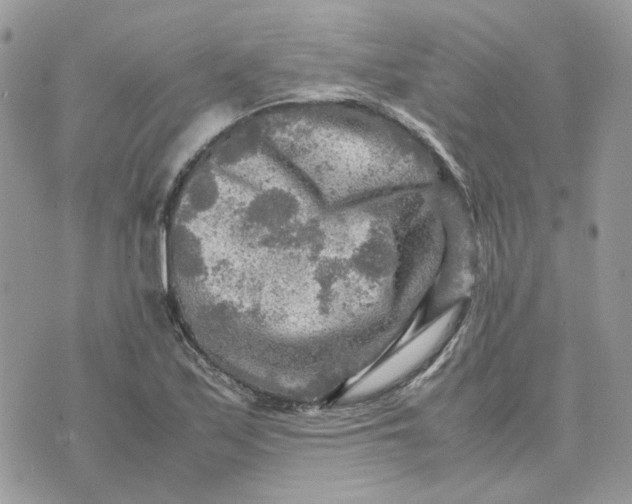 X0000075381171200609291543