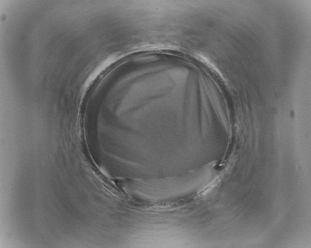 X0000075381173200609291543