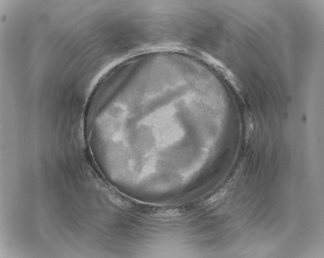 X0000075381174200609291543