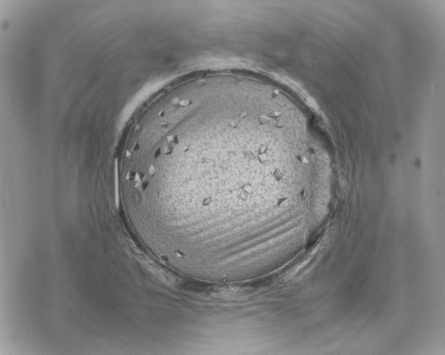 X0000075381175200609291543