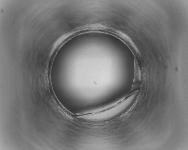 X0000075381176200609291543