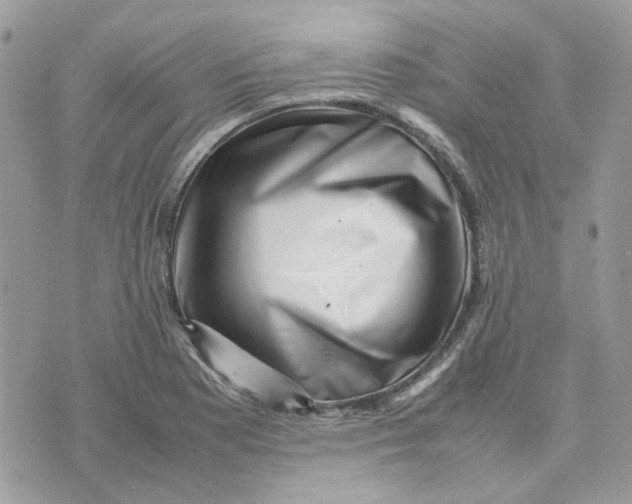 X0000075381177200609291543