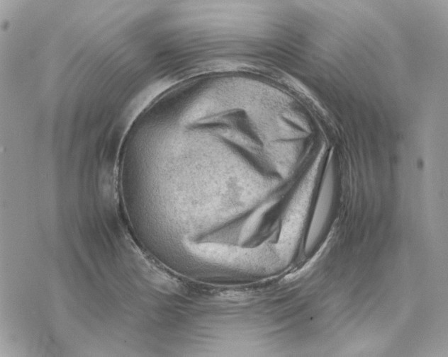 X0000075381178200609291543