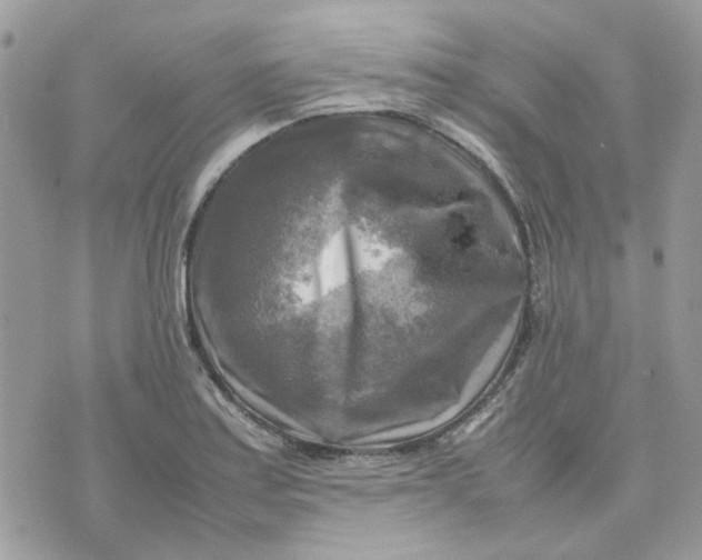 X0000075381179200609291543