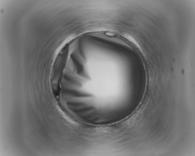 X0000075381181200609291543