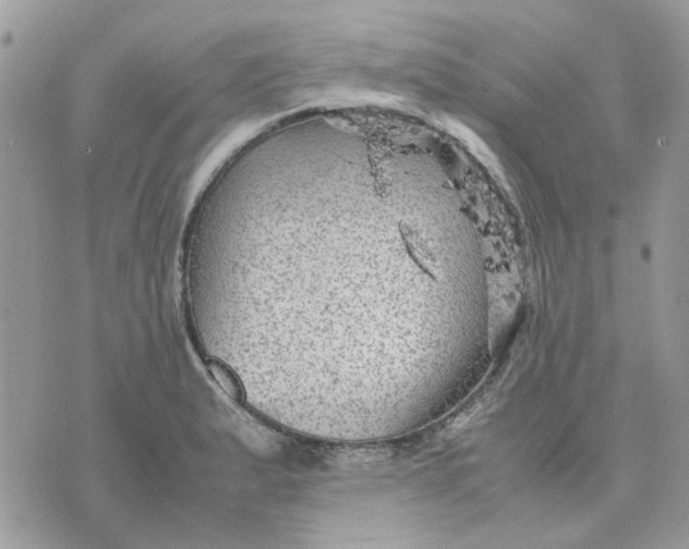 X0000075381183200609291543