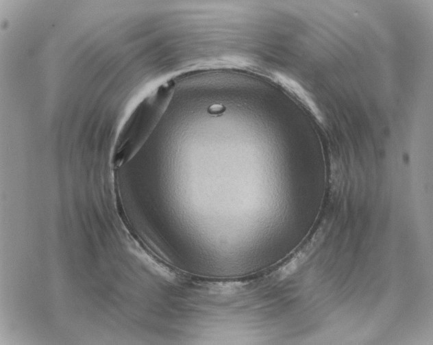 X0000075381184200609291543