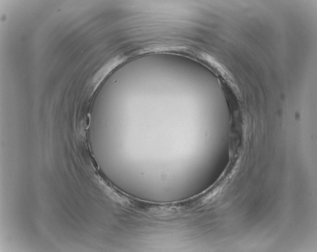 X0000075381185200609291543