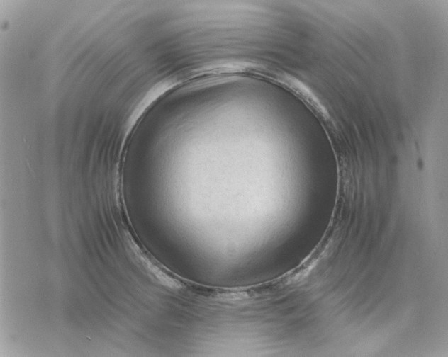 X0000075381186200609291543