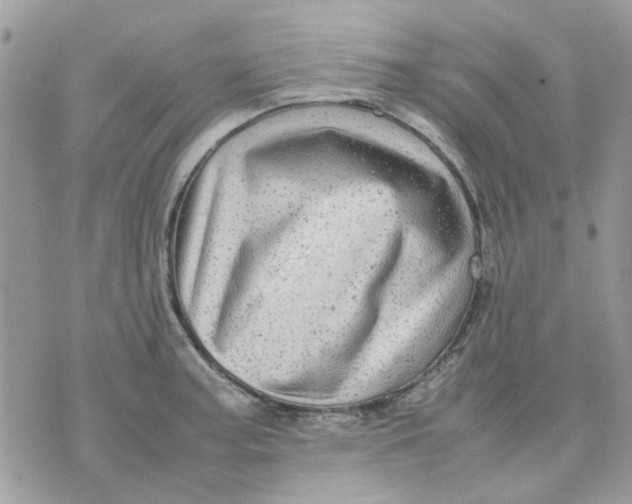 X0000075381187200609291543