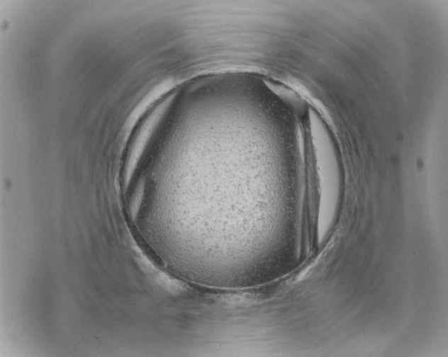 X0000075381189200609291543