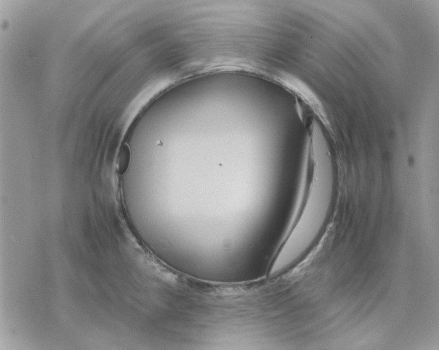 X0000075381190200609291543