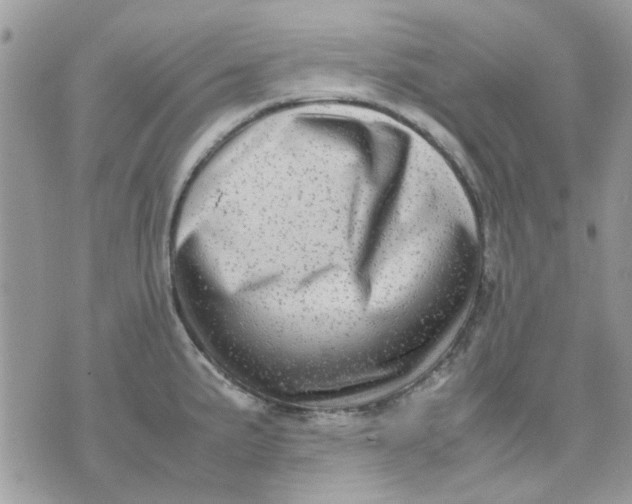 X0000075381191200609291543