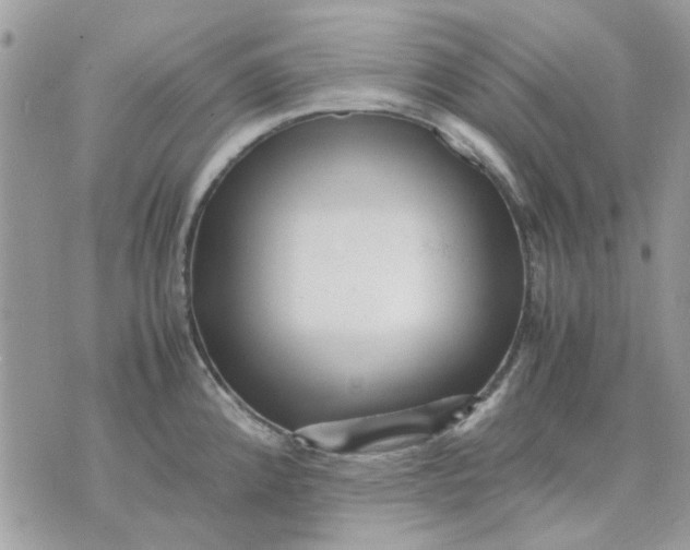 X0000075381192200609291543