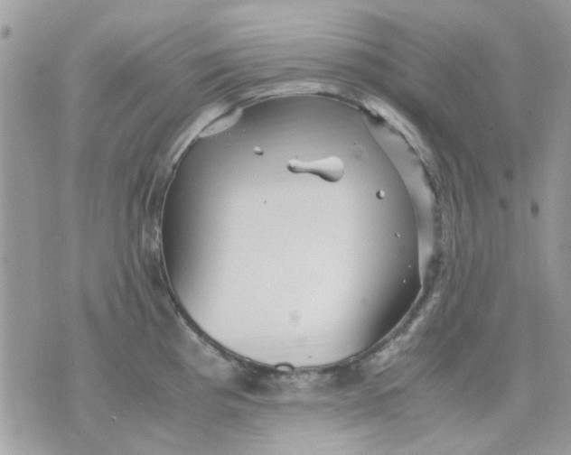 X0000075381193200609291543