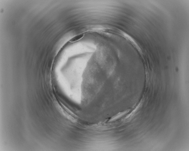 X0000075381194200609291543