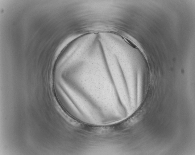 X0000075381195200609291543