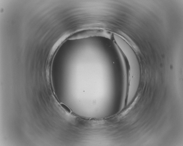 X0000075381196200609291543