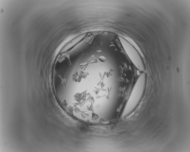 X0000075381197200609291543