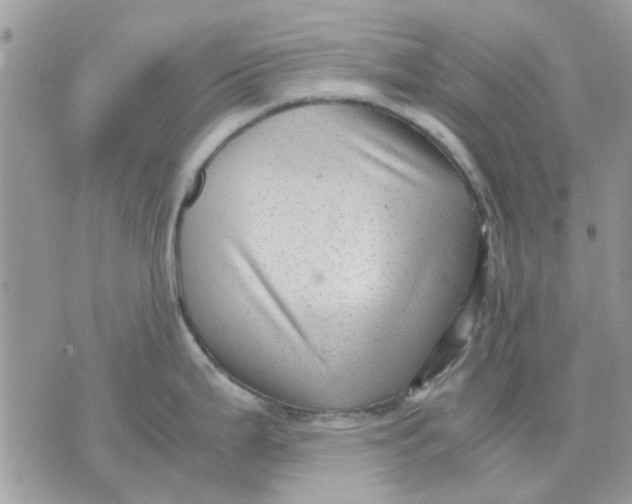 X0000075381199200609291543