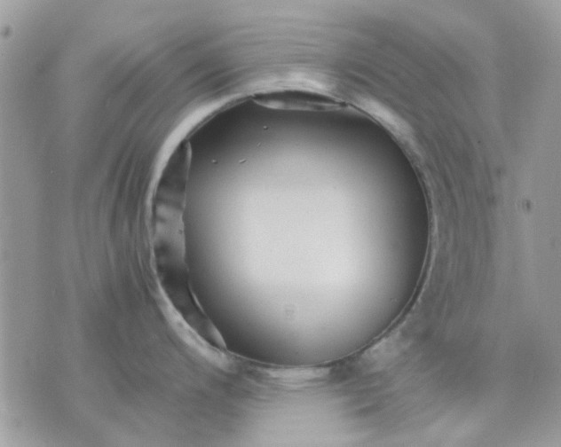 X0000075381200200609291543