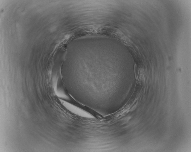 X0000075381202200609291542