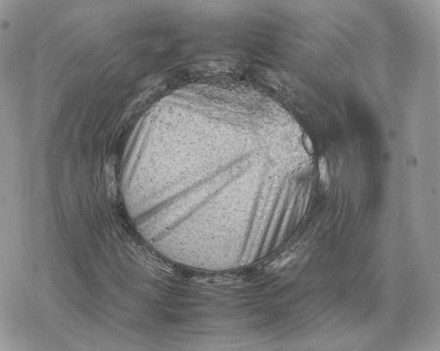 X0000075381203200609291542