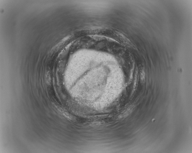 X0000075381204200609291542