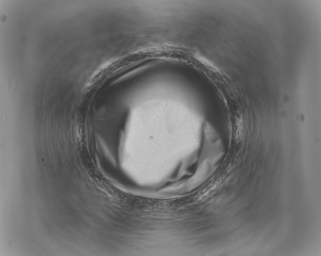 X0000075381206200609291542