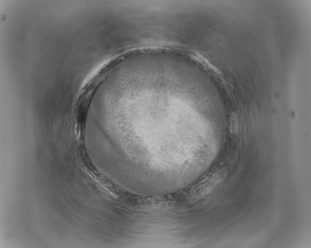 X0000075381208200609291542