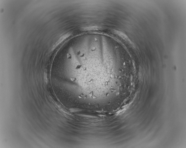 X0000075381209200609291542