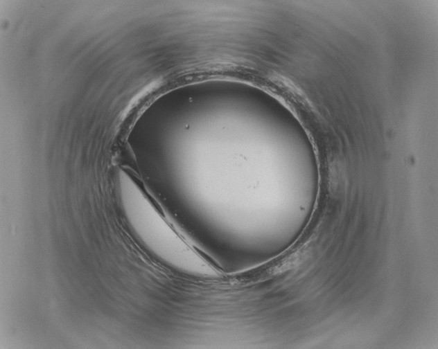 X0000075381210200609291542