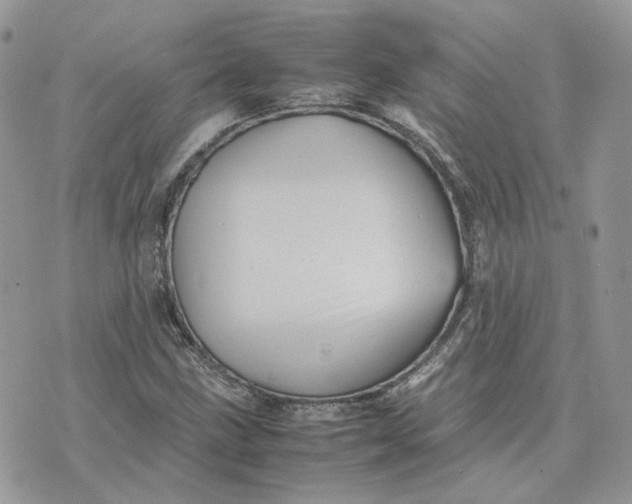 X0000075381211200609291542