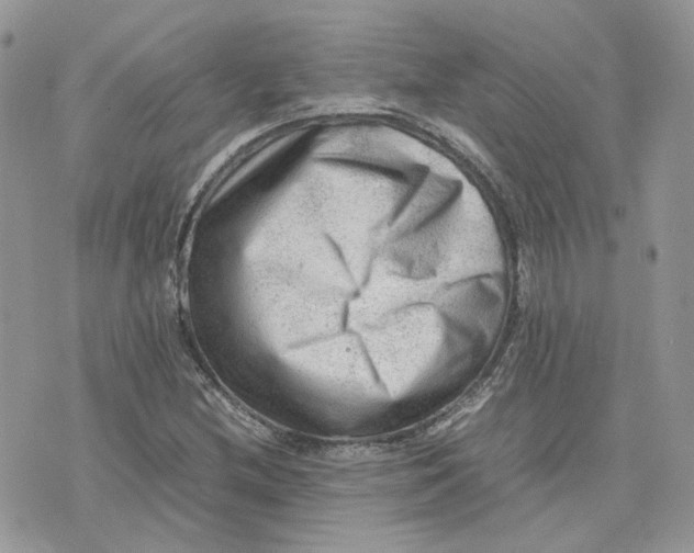 X0000075381212200609291542