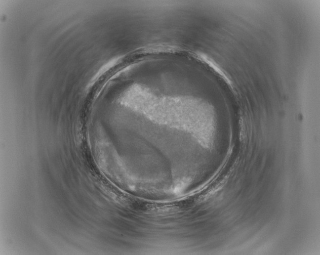 X0000075381213200609291542