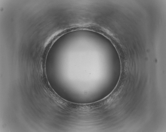 X0000075381214200609291542