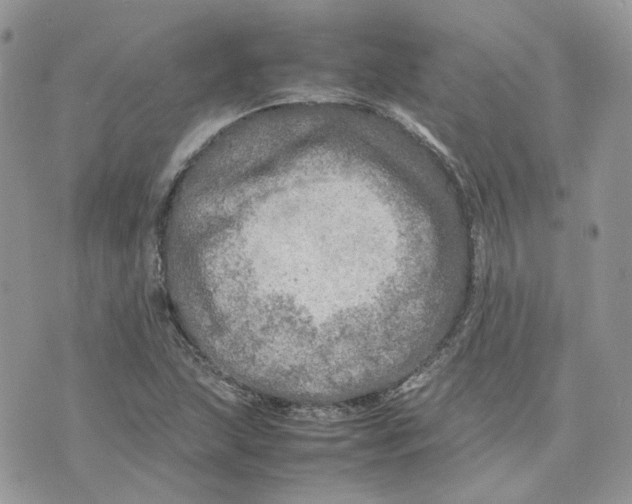 X0000075381215200609291542