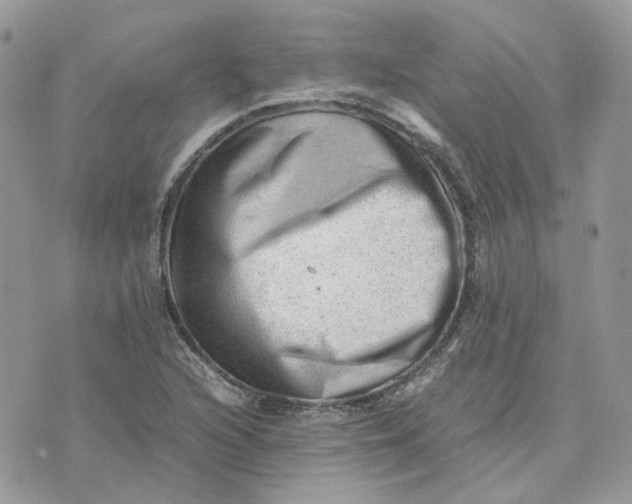 X0000075381216200609291542