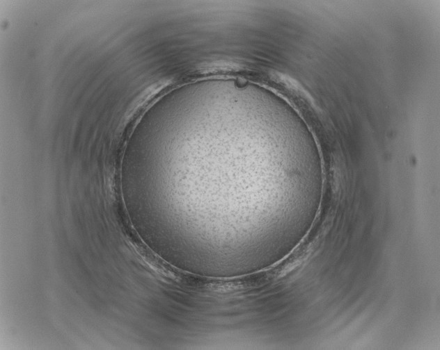 X0000075381217200609291542