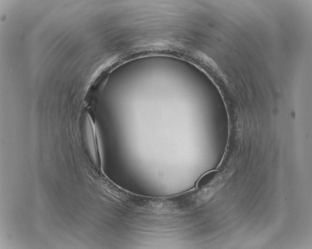 X0000075381218200609291542