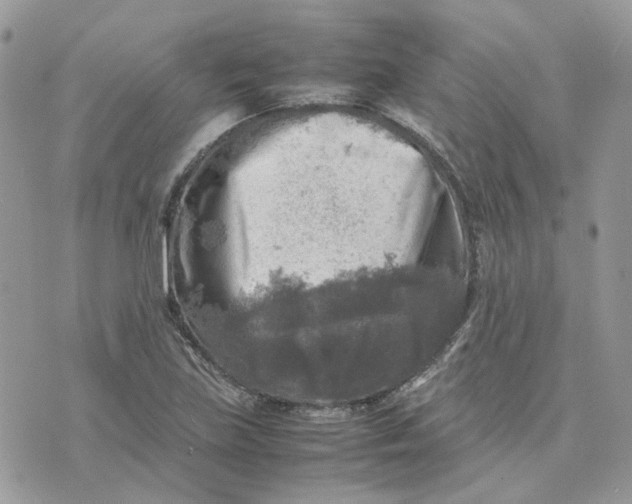 X0000075381219200609291542