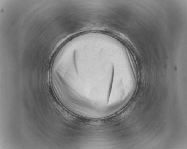 X0000075381220200609291542